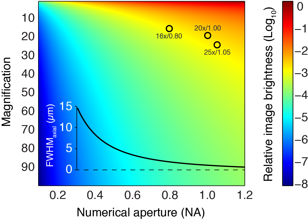 axial-resolution-and-numerical-aperture-part-ii-labrigger